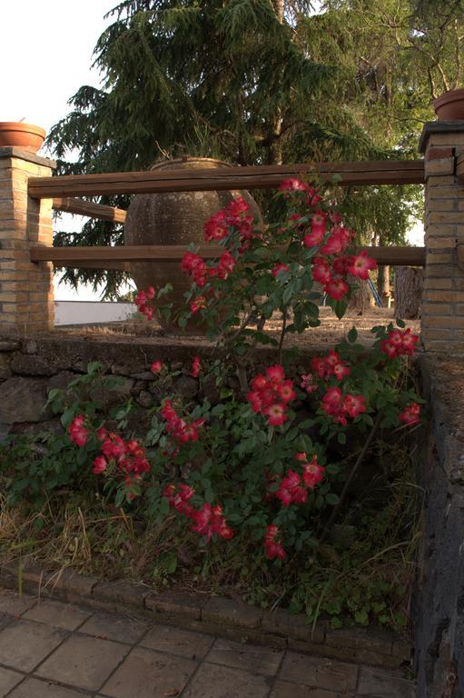 Pachamama Villa Nicolosi Dış mekan fotoğraf